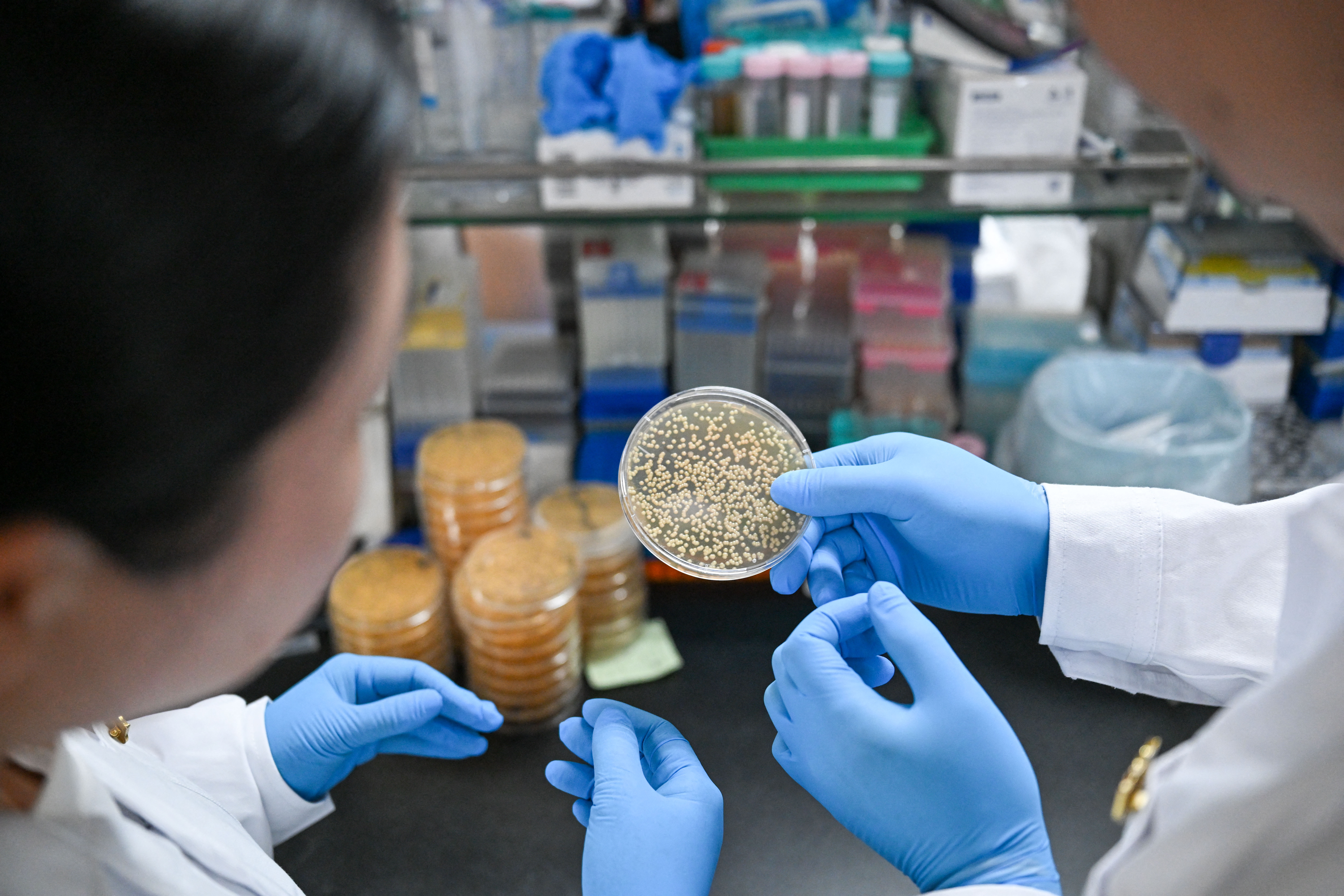 Novartis heart disease drug pelacarsen fails final-stage trial, causing stock drop