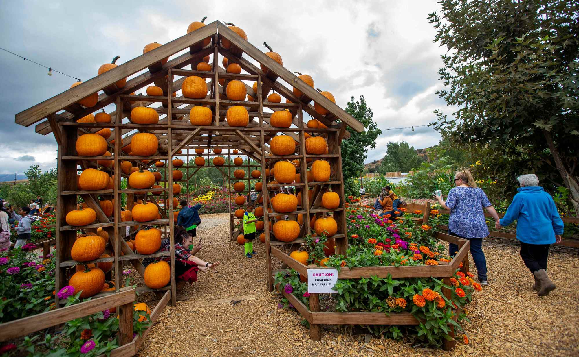 Fall Corn Mazes Span North America with Unique Attractions and Family Activities