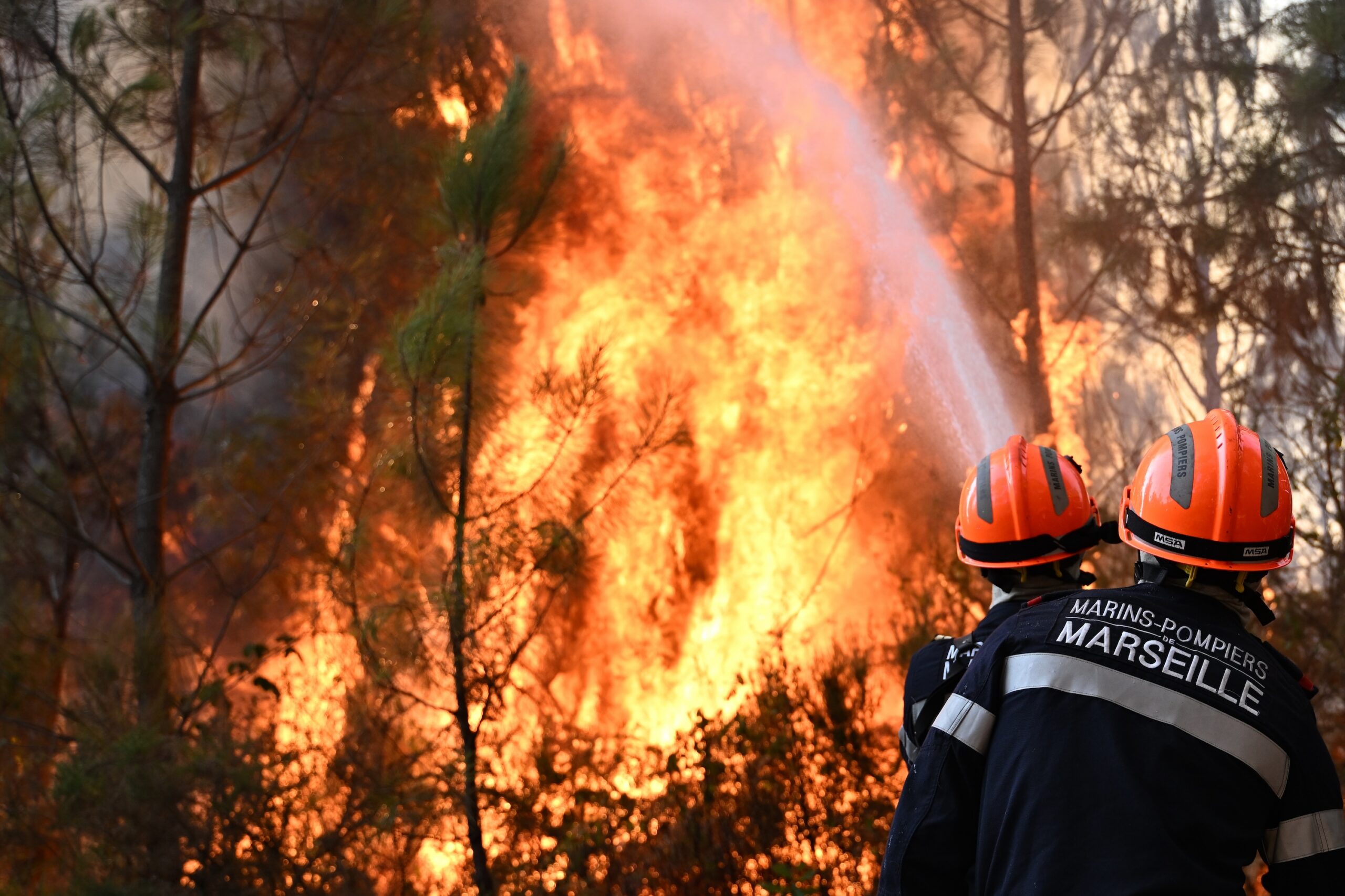 EU Announces Comprehensive Heatwave Plan and Climate Insurance Alliance Following Record Temperatures