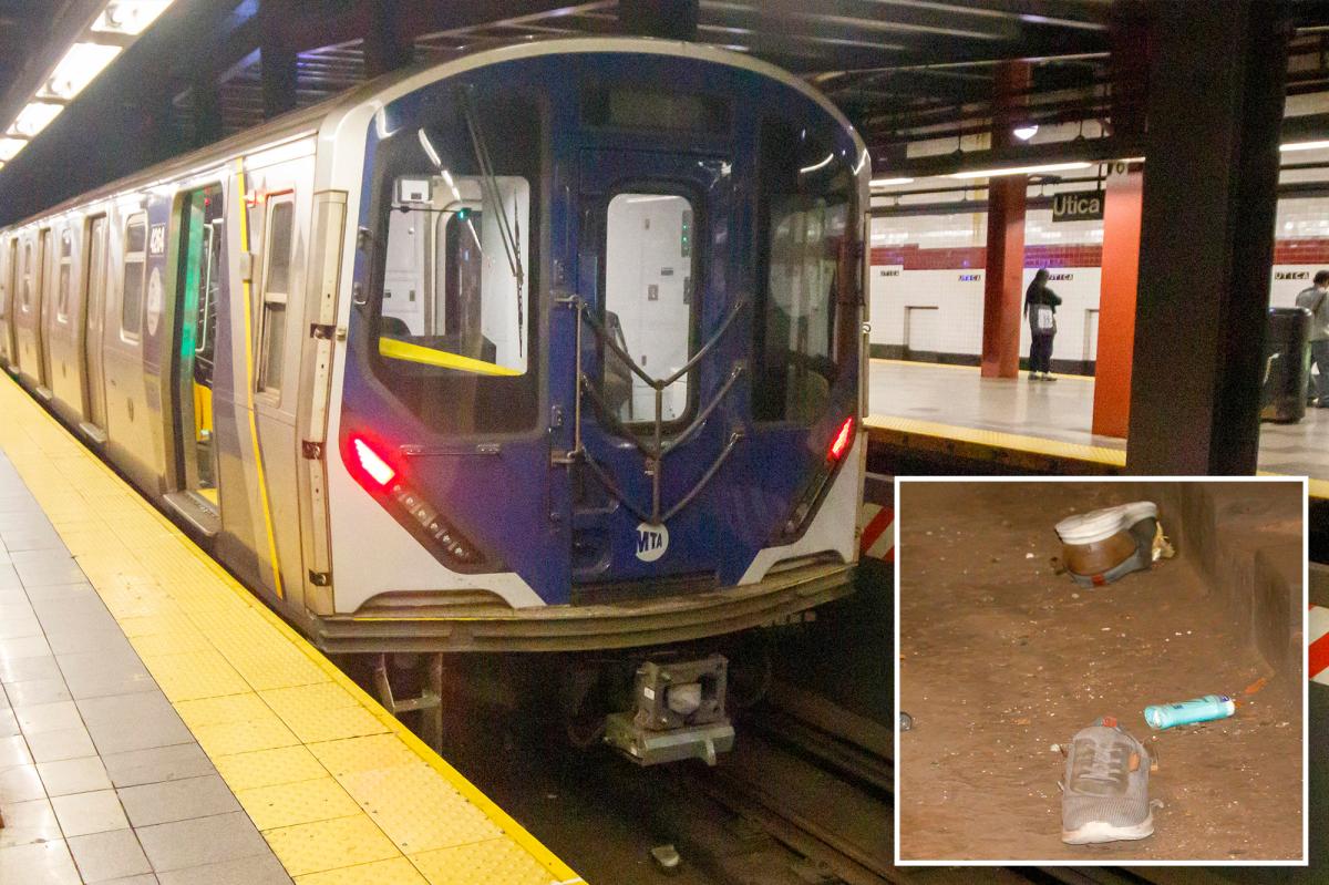 Brooklyn Man Dies After Bag Gets Trapped in Subway Train Doors