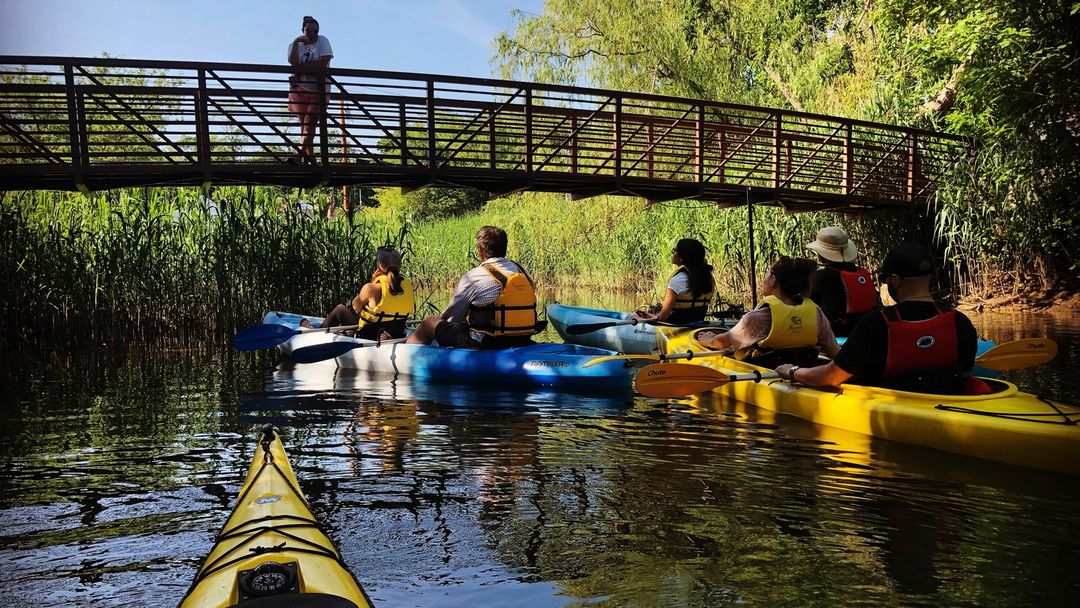 Long Island Launches Extensive Fall Festivals, Farm Attractions, and Kayak Tours for Autumn