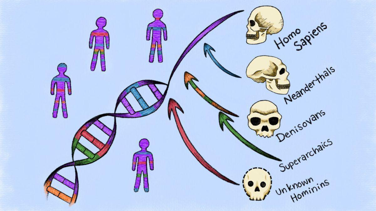 Científicos descubren la primera evidencia de ancestros fantasma ocultos en el ADN humano.