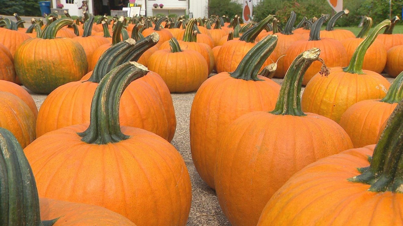 Fall Chill Brings First Frost Risks and Cooler Temperatures Across the Region