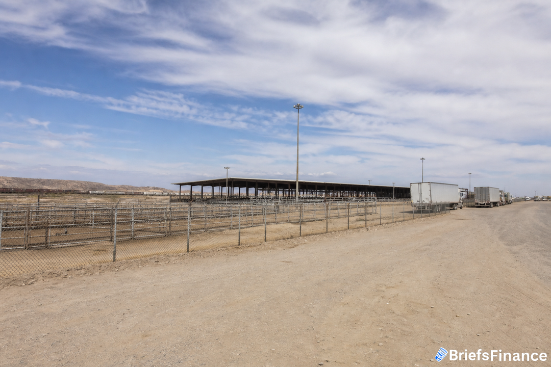Major Santa Teresa Cattle Crossing Expected to Reopen