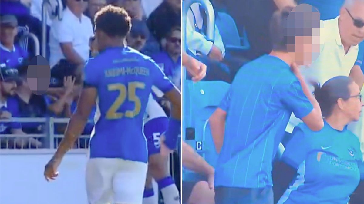 Cardiff Defender Krystian Bielik Avoids Red Card After Altercation with Portsmouth Fan