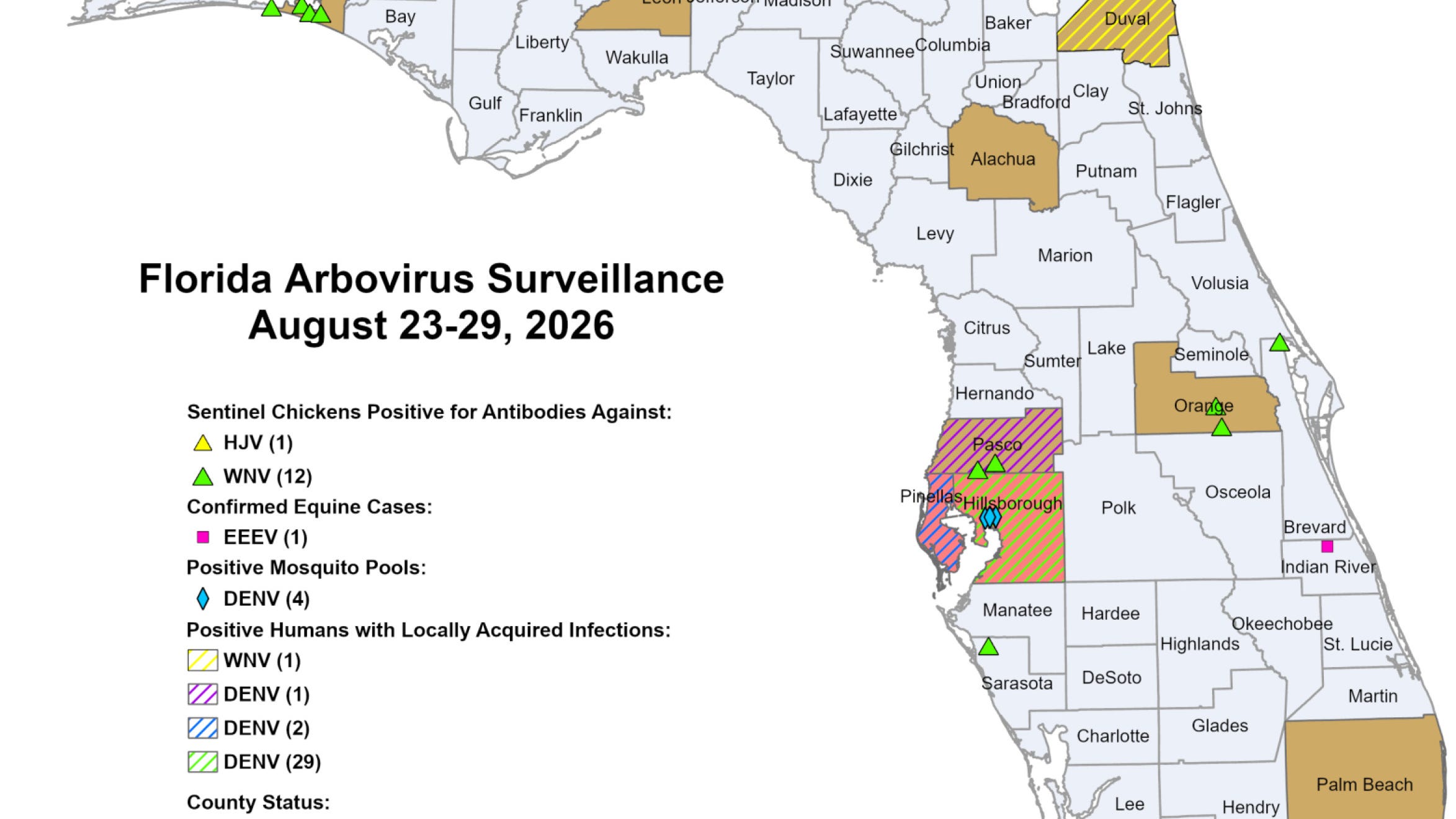 Florida Dengue Fever Cases Nearly Double in One Week Amid State Advisories