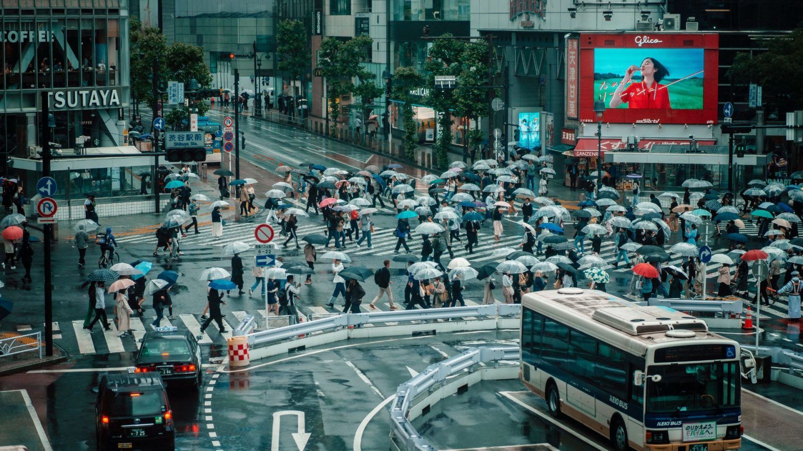 Typhoon Dujuan approaches Kanto region, bringing severe transport disruptions and cancellations.