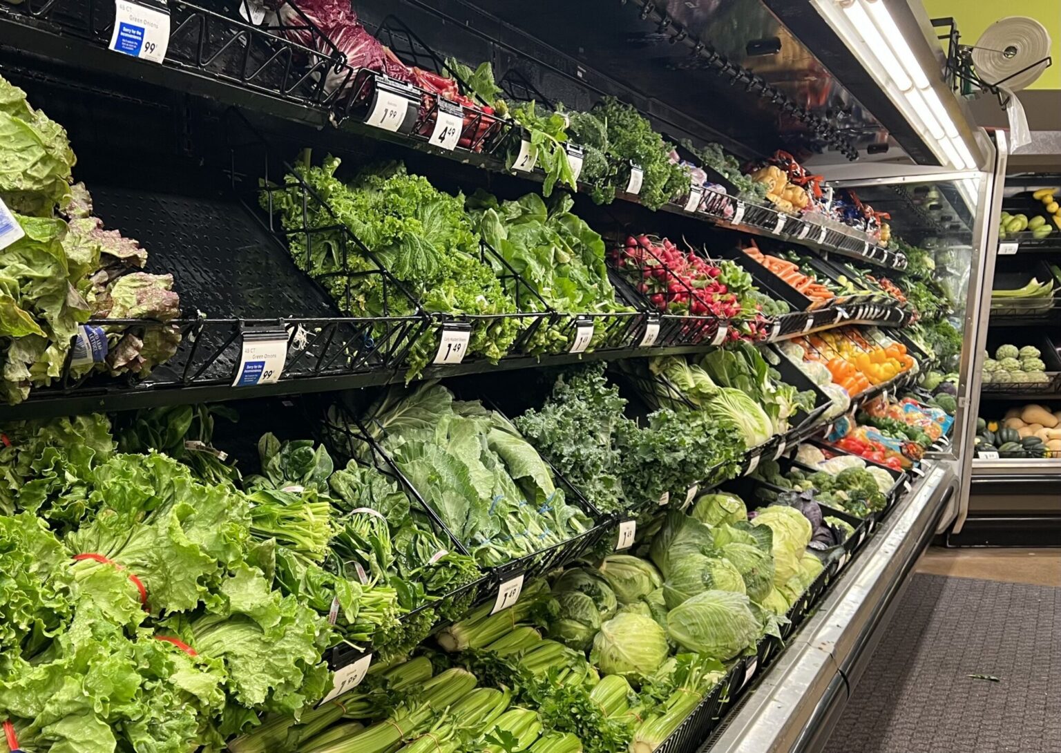Recent food safety recalls and federal agency staffing cuts expose national vulnerabilities.