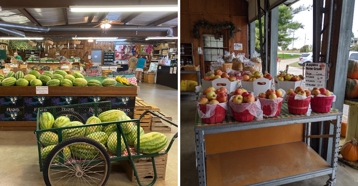 Discover Exceptional Food Stops and Culinary Trails Across America This Fall