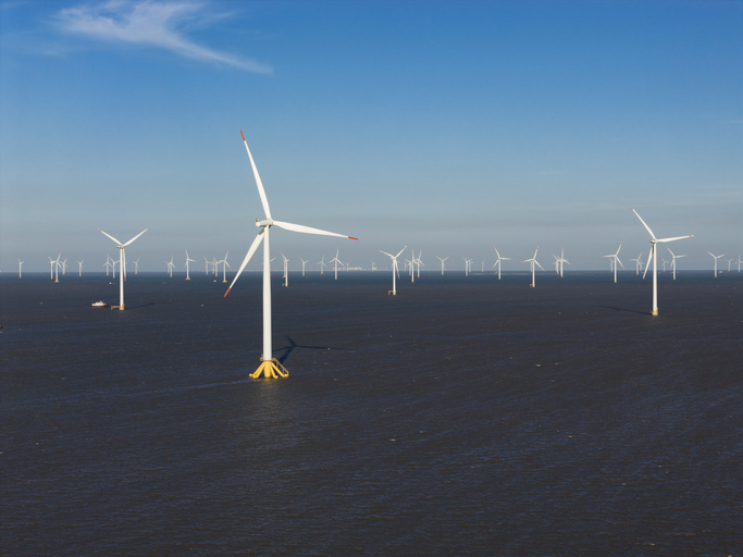 Eight States Sue Trump Administration Over $1.4 Billion Offshore Wind Buyouts