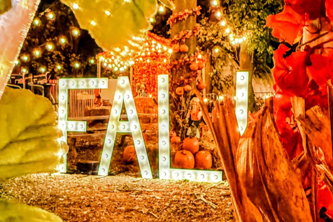 Families Across the Country Seek Free Fall Festivals Amid Rising Financial Pressures
