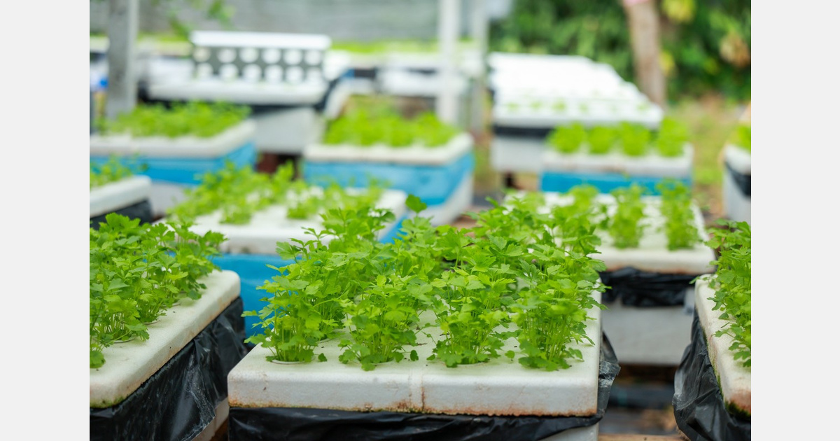 Affinor Growers Appoints Biotechnology Experts to Strengthen Vertical Farming Capabilities