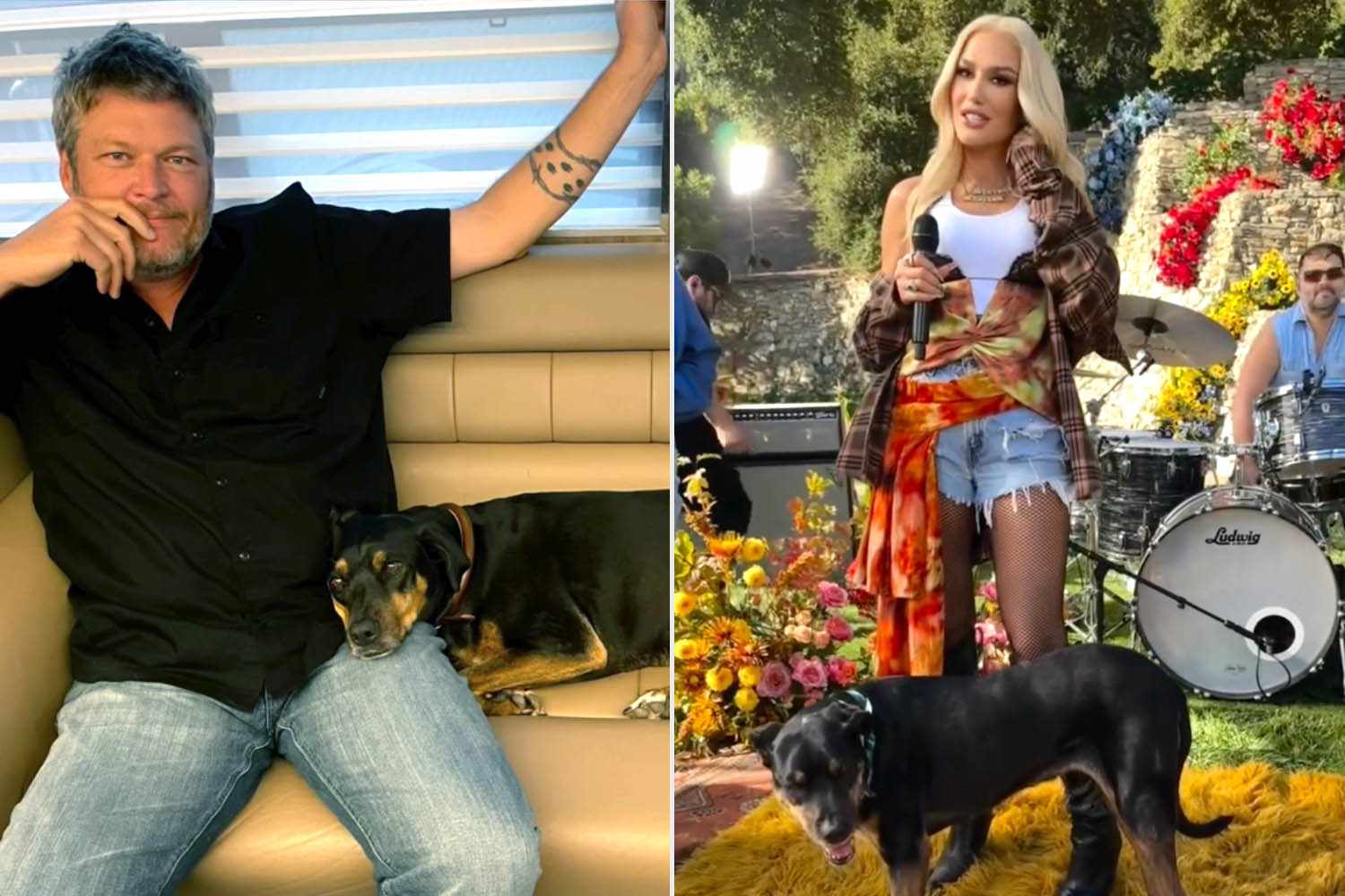 Gwen Stefani and Blake Shelton Mourn the Death of Their Beloved Dog Betty at 18
