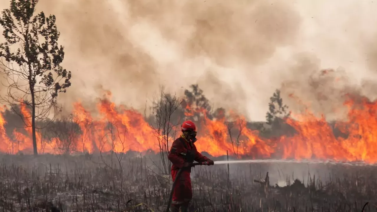 Indonesia Identifies 139 Suspects as Severe Wildfires Threaten Millions Across the Region