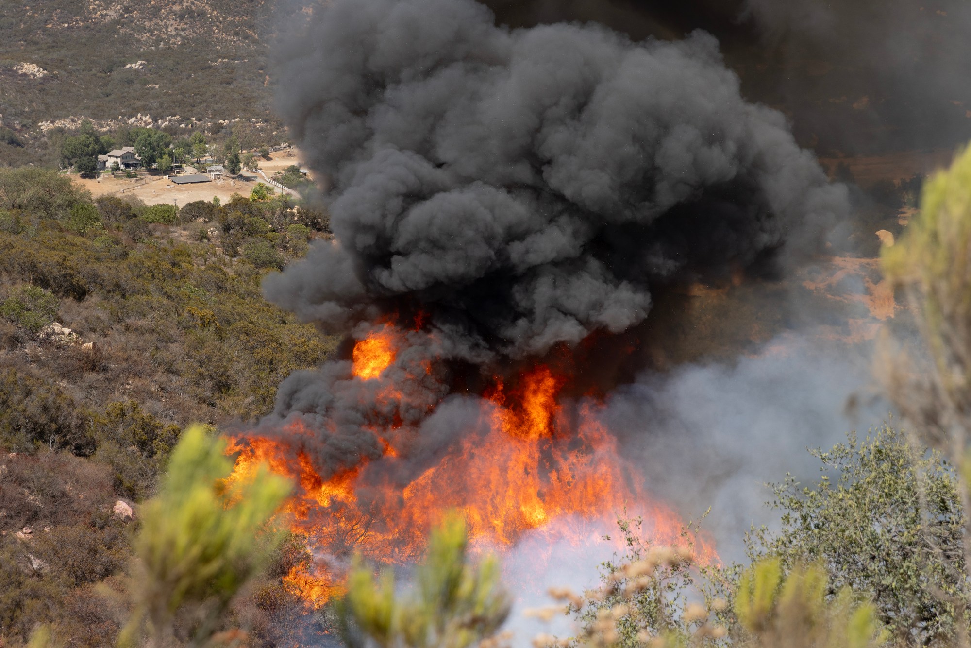 New Public Safety App Delivers Direct Wildfire Updates Across California