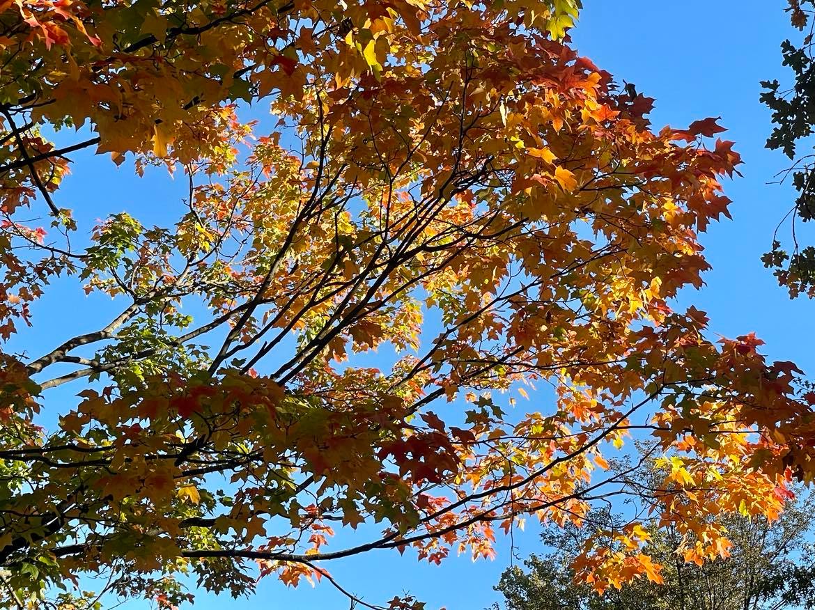 Summer Heat Expected Across Regions Into Fall