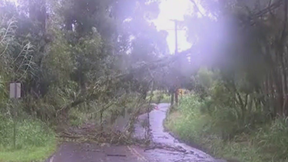 Hawaii Closes Schools and Offices Ahead of Dangerous Tropical Storm Nolo