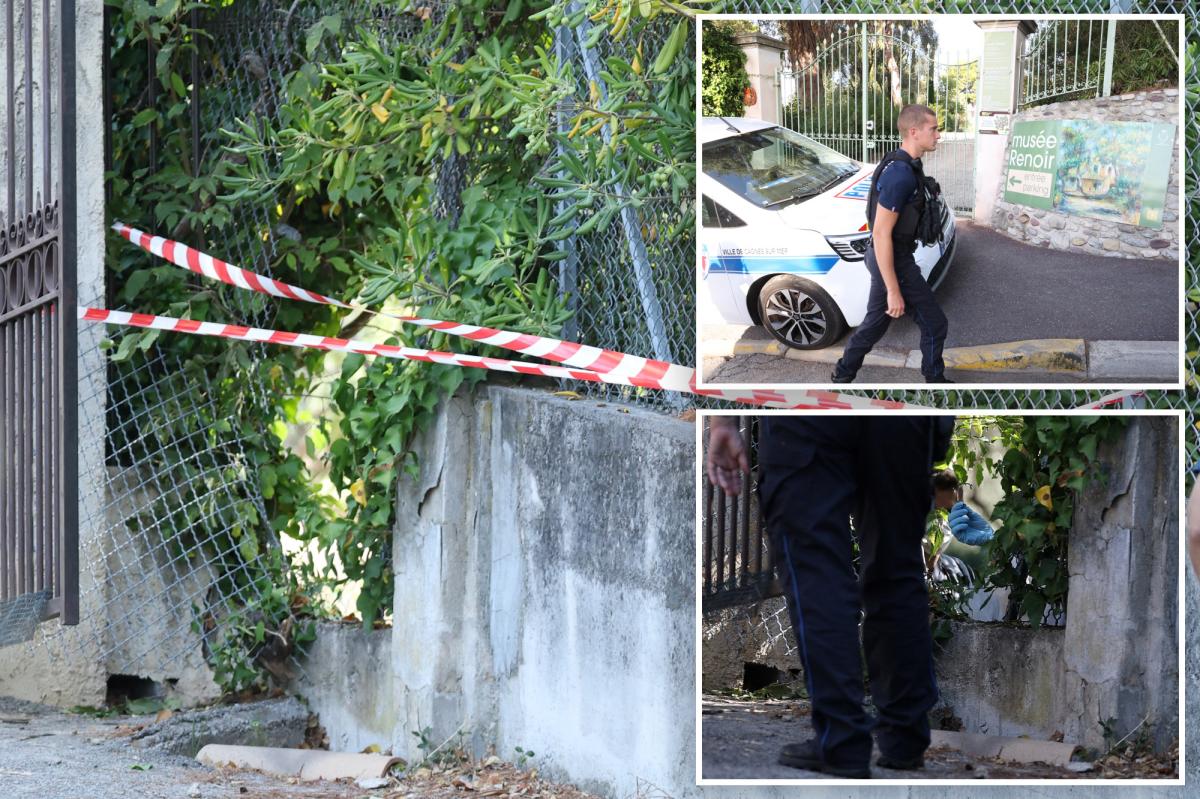 Valuable Artworks Stolen in Separate Museum and Home Burglaries Across France and Australia