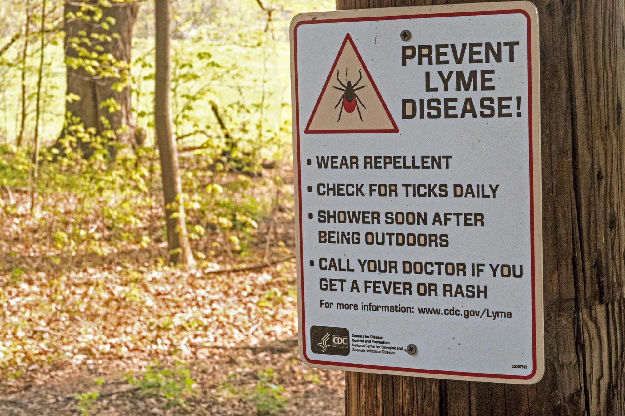 New Research Shows White-Footed Mice Drive Lyme Disease Risk More Than Deer