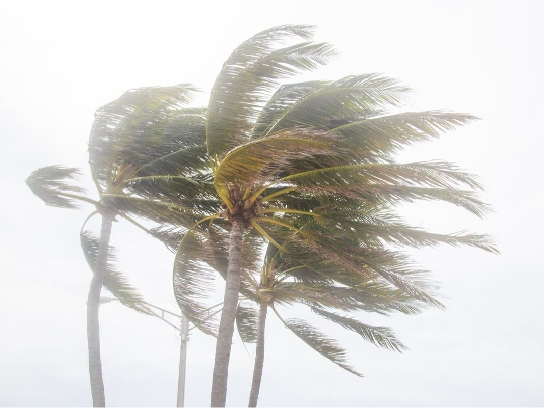 Tropical Storm Hanna forms in the Atlantic Ocean, posing no immediate threat to land.