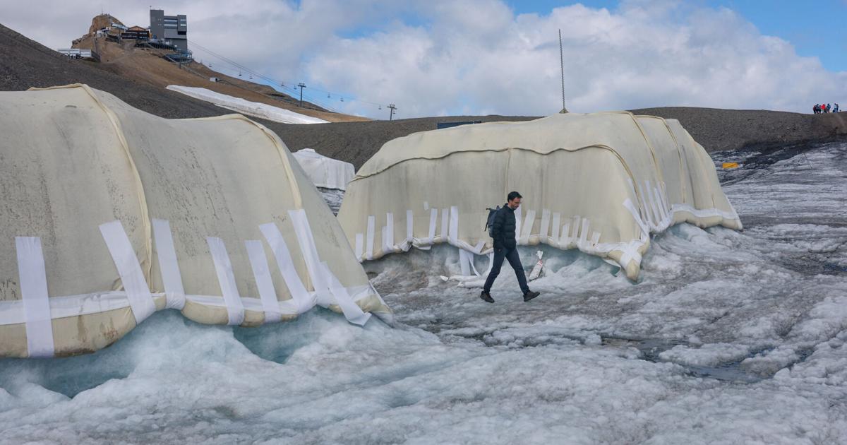 Swiss scientists are testing sheep's wool to slow down the shrinking of glaciers.