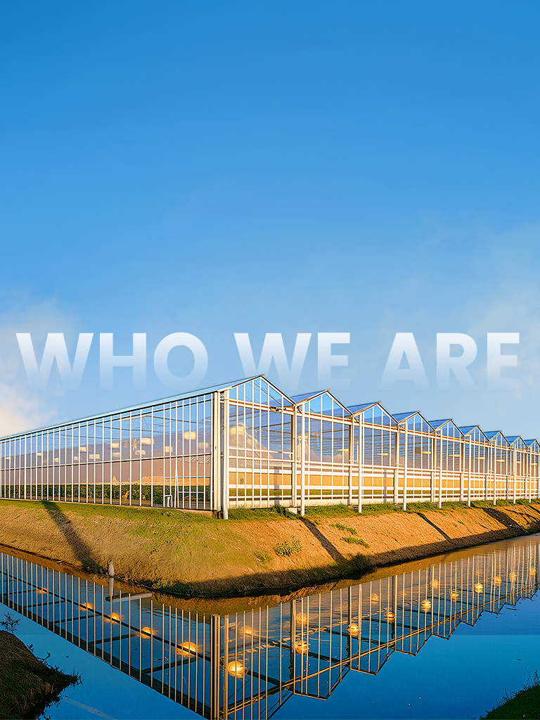 Sainpoly Introduces Polycarbonate Greenhouse Systems Designed for Year-Round Cultivation in Extreme Climates