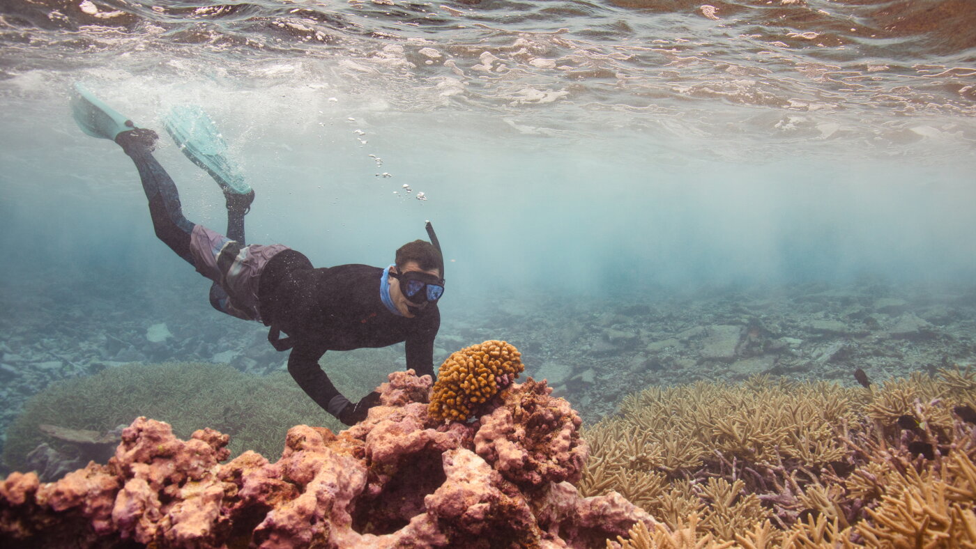 Satellite Mapping Reveals More Than 1,000 Uncharted Coral Reefs Off Northern Australia