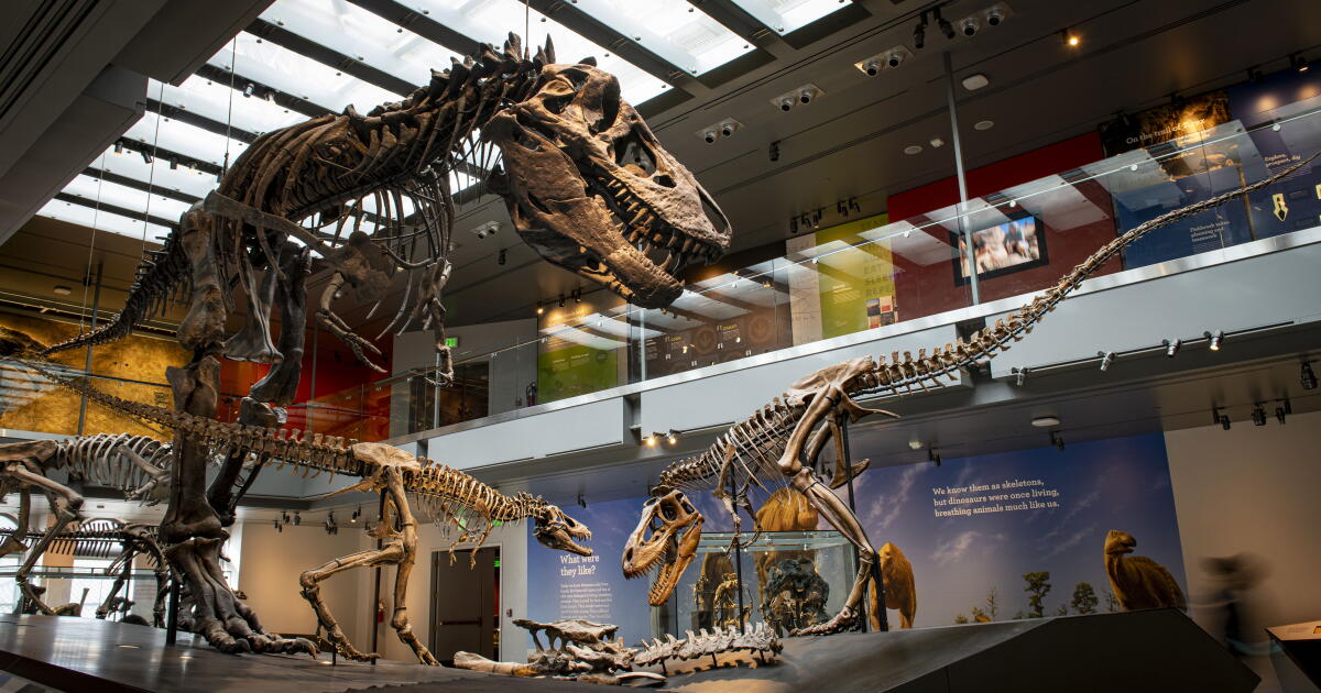 New Fossil Analysis Reveals T. Rex Had a Human-Like Body Temperature