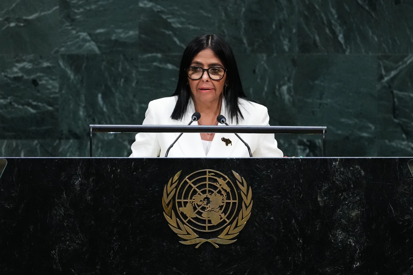 Venezuela's Interim President Promises Democratic Transition and Free Elections at United Nations