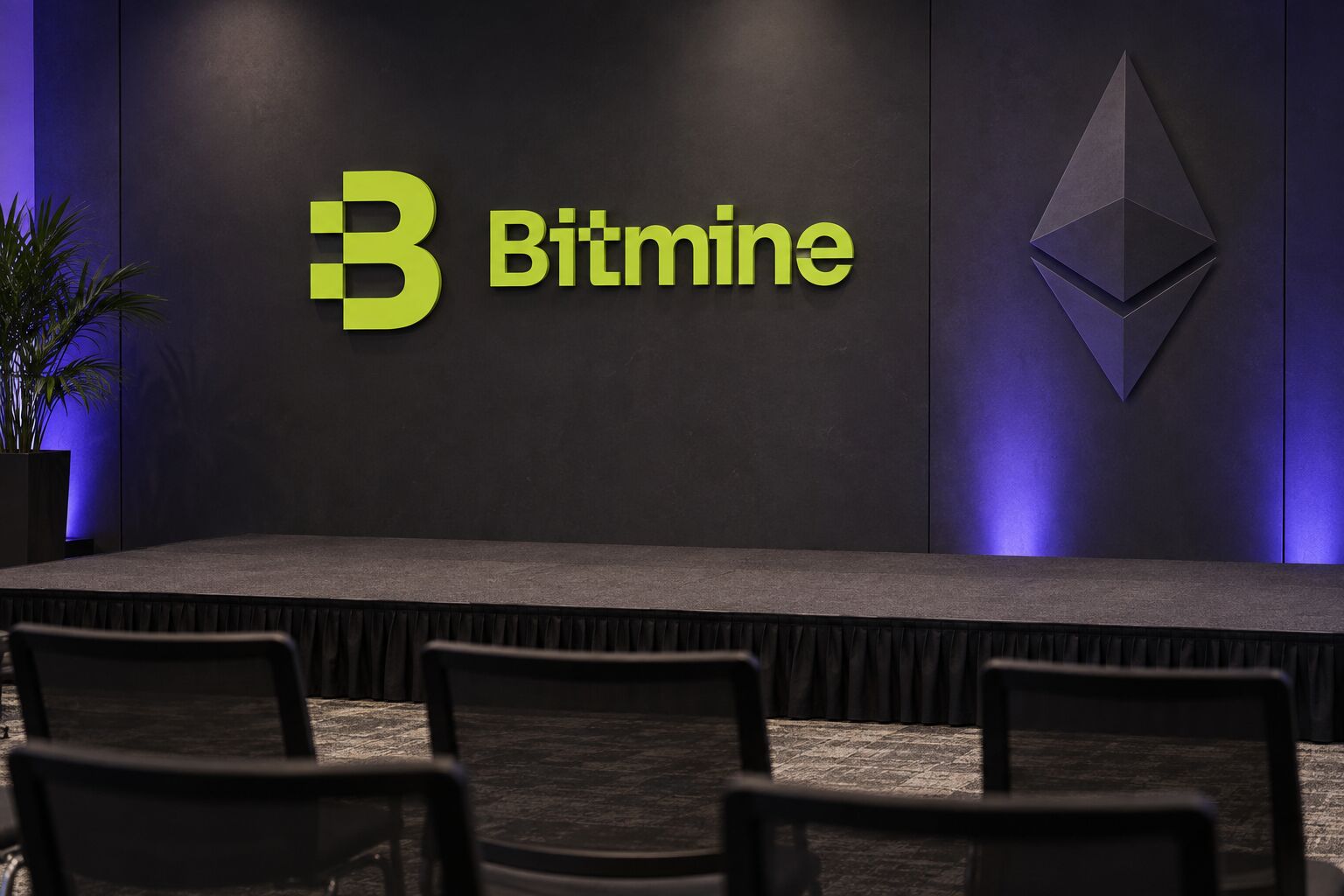 BitMine Shares Rally as Ethereum Holdings Near 5%