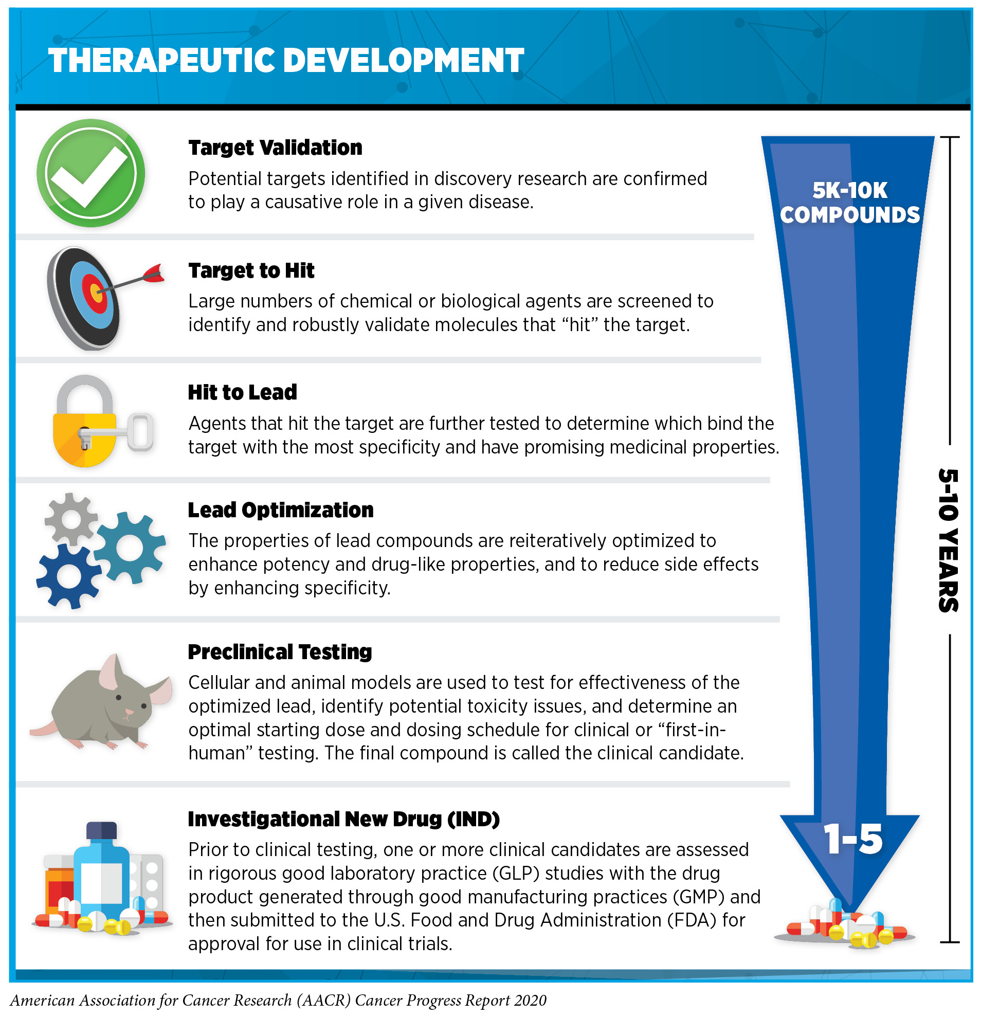 Global Oncology Reports Highlight Multidisciplinary Care and Advanced Research Initiatives