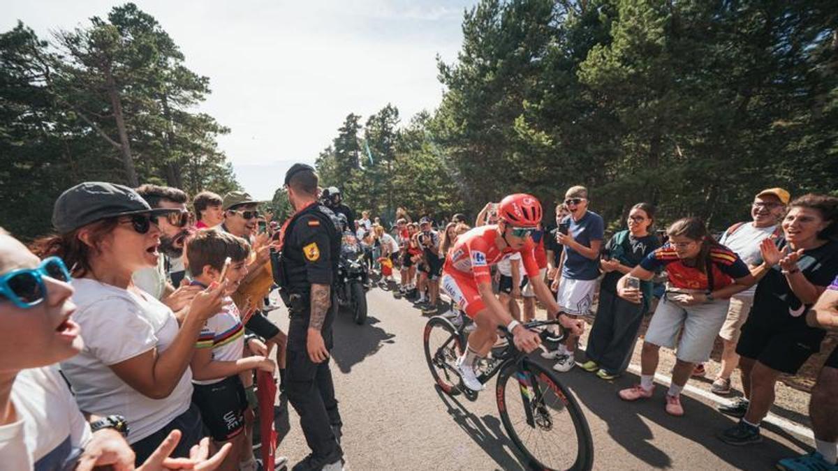 La complicada cirugía de Tadej Pogacar pone en seria duda su participación en el Mundial de Canadá