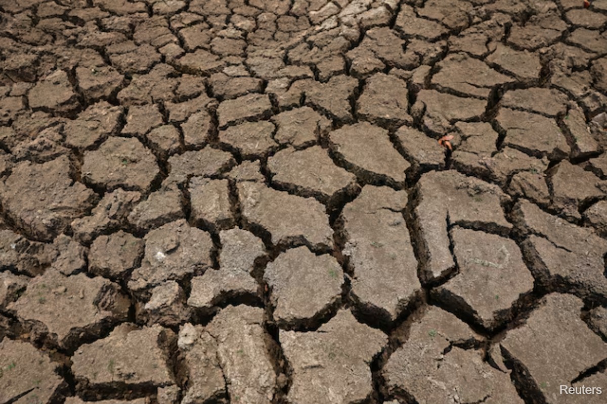 El Niño Threatens Millions With Hunger, Health Risks