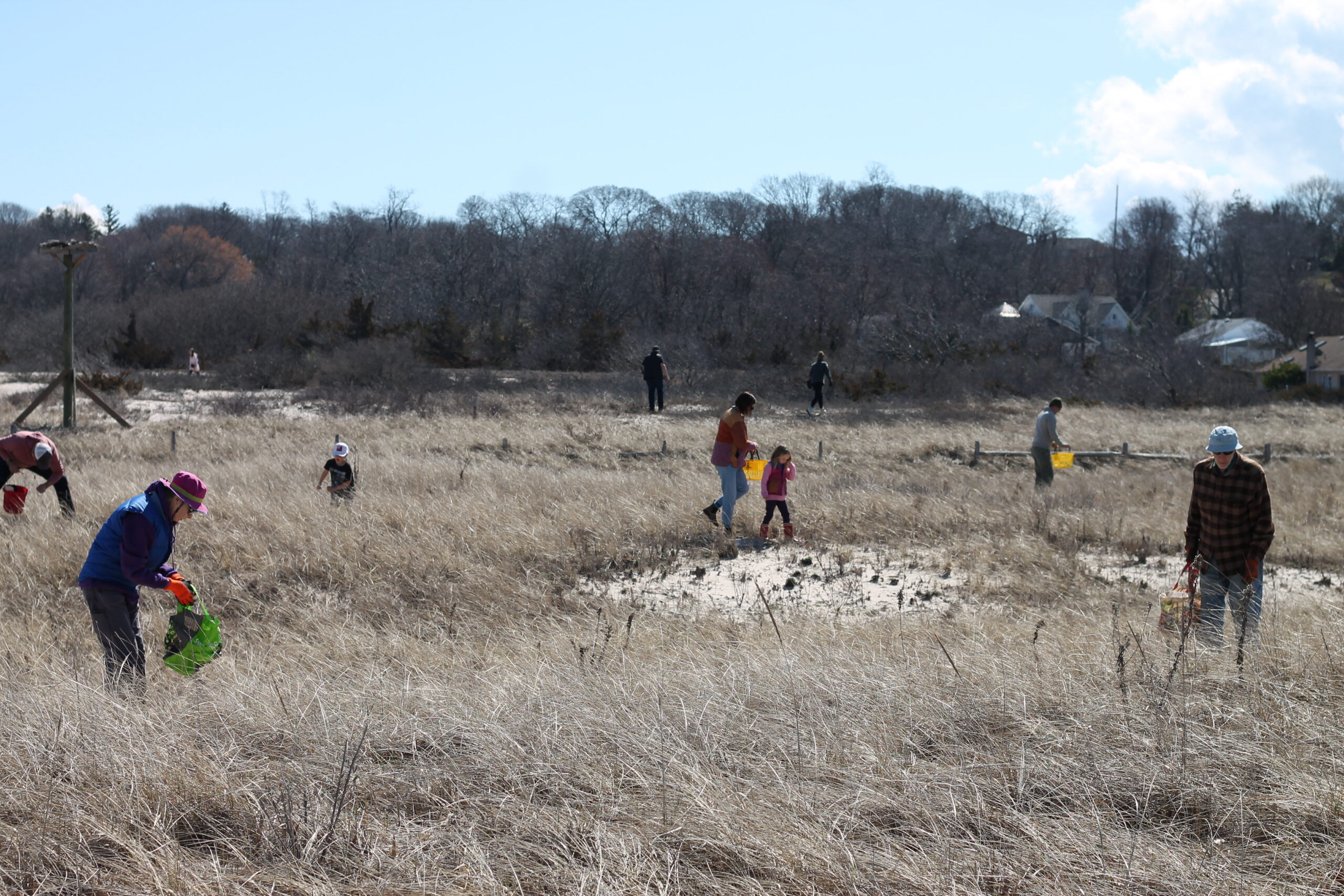 International Coastal Cleanups Expand Across Four Regions