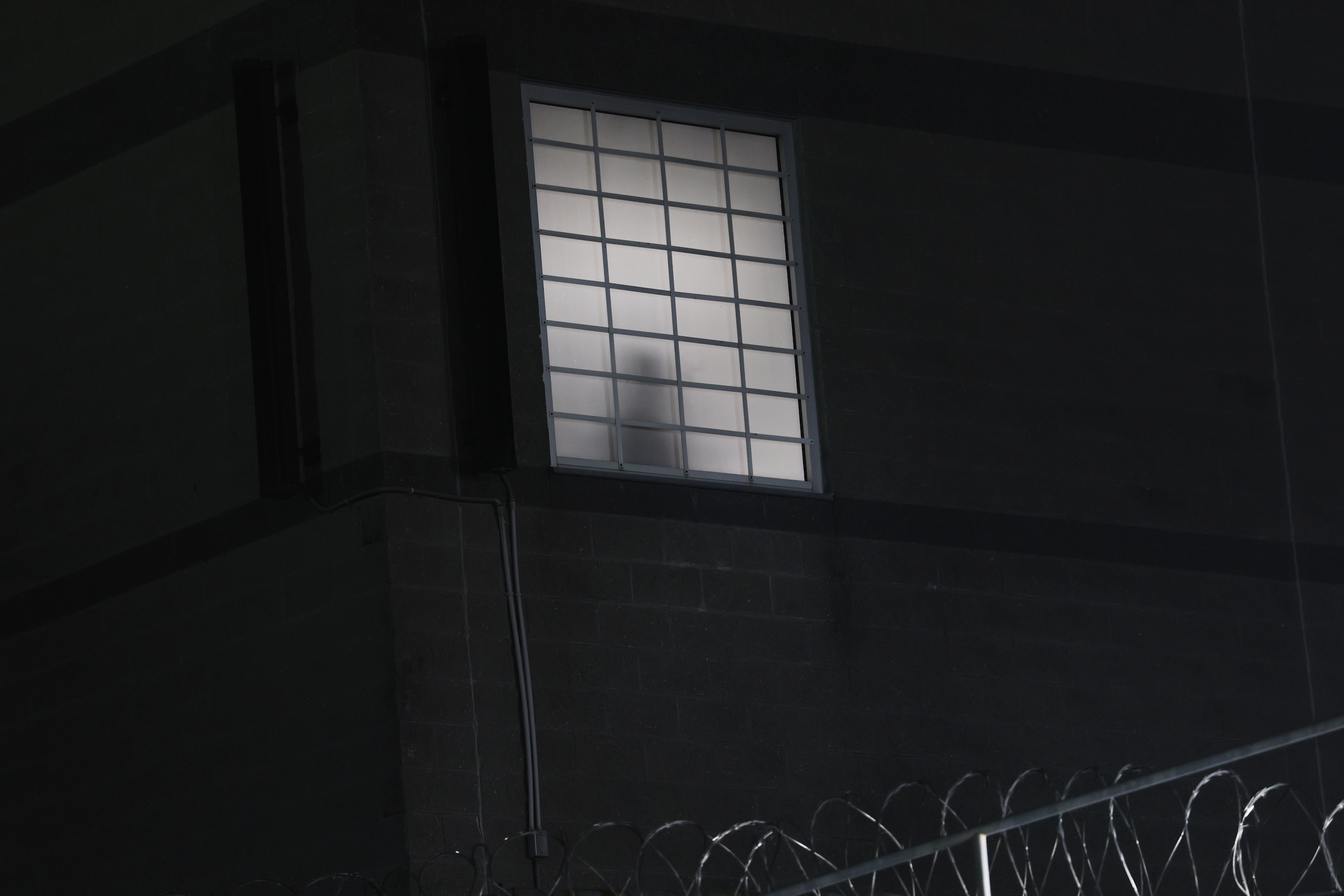 ICE Removes Thousands of Detainees From Its Online Locator System