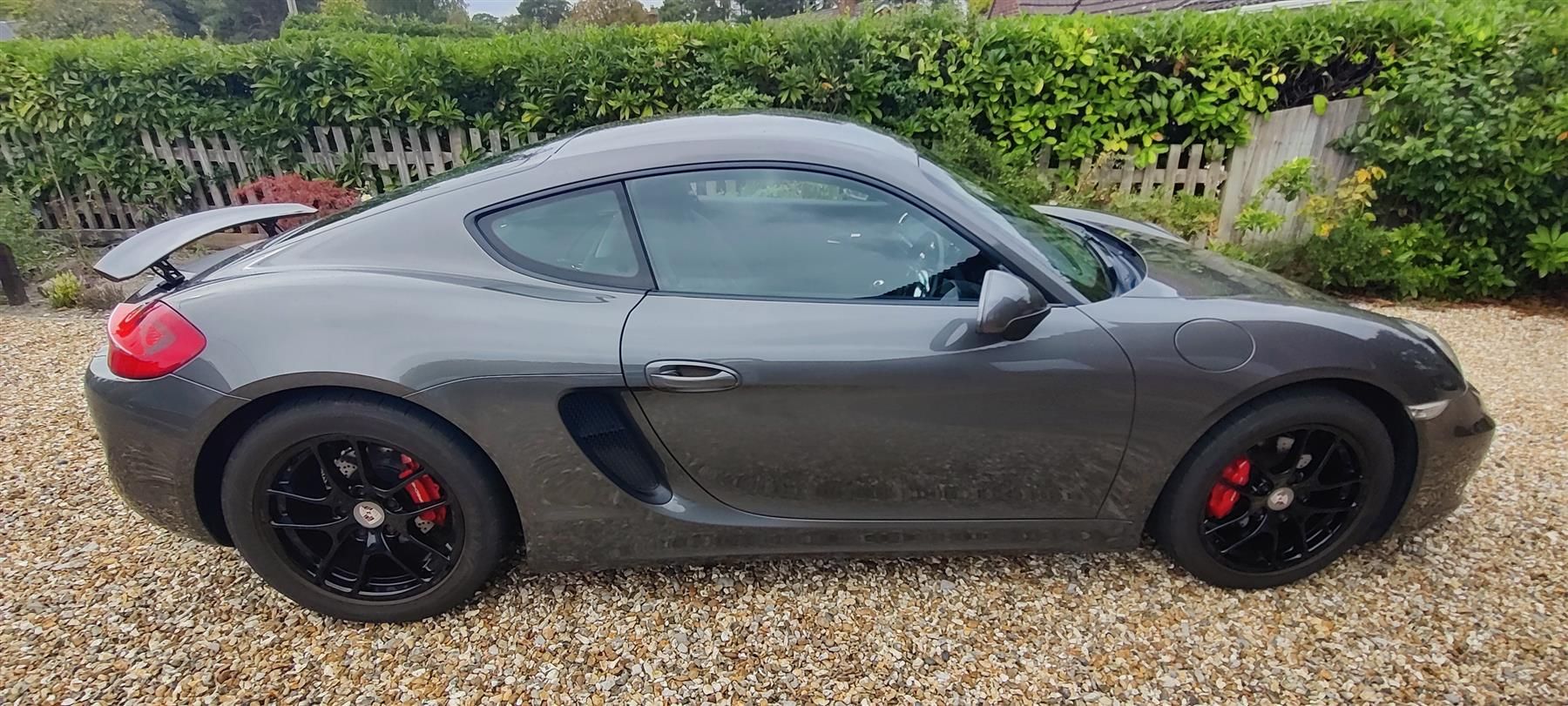 Four Distinct Porsche Models Hit the Market, From Classic Targa to Modern Performance