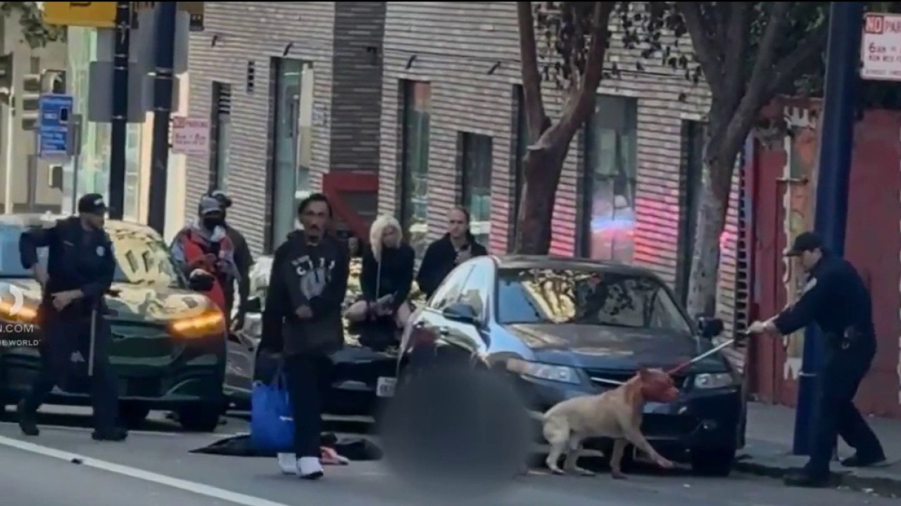 Adult Woman Suffers Life-Threatening Injuries Following San Francisco Dog Attack