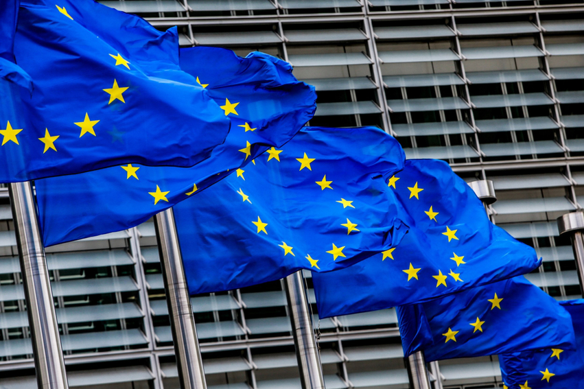 European Commission develops tailored accession roadmaps to accelerate candidate nation reforms.