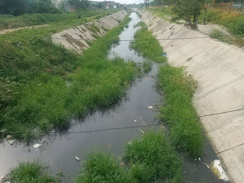 Dengue Prevention Campaigns Span Bangladesh, Tamil Nadu