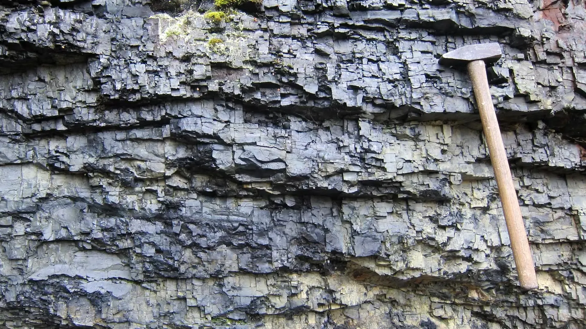 Caltech Study Challenges Long-Standing Theory of Ancient Global Carbon Disruption