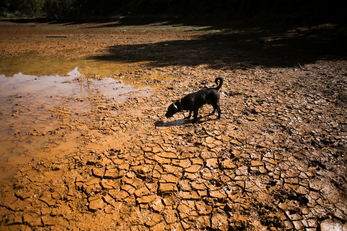El Niño expected exceptional strength through February 2027