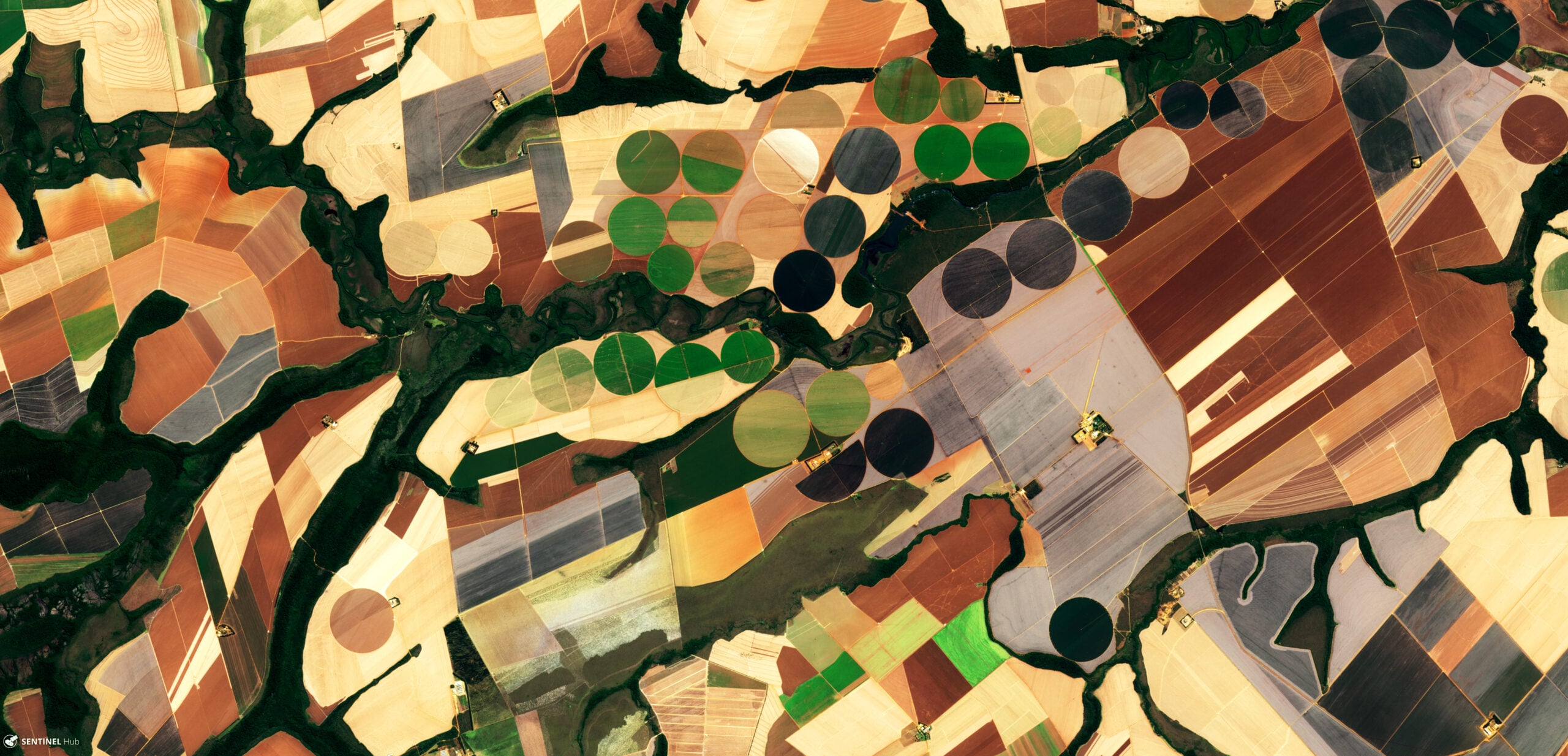 CHS Plans $700 Million Soybean Facility in Wisconsin to Boost Processing Capacity