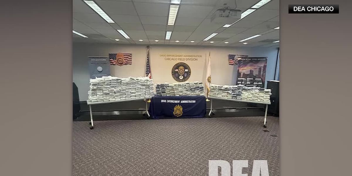 Authorities Across Five Countries Seize Over 380 Kilograms of Cocaine in Separate Operations