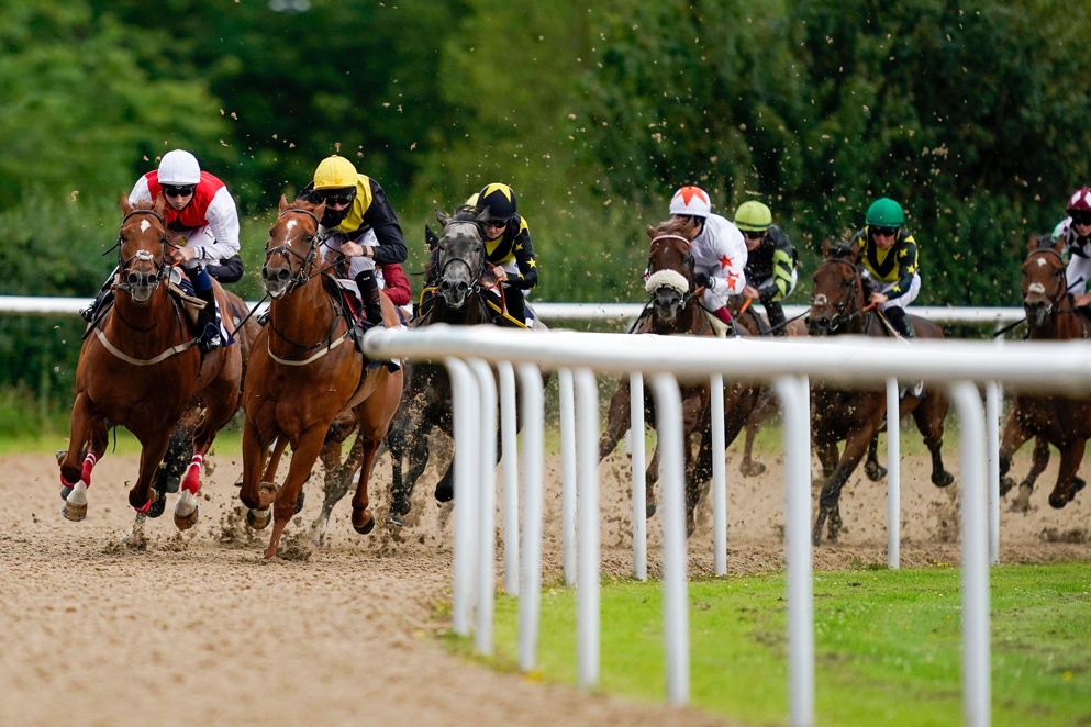 Expert Tips and Contenders Highlighted Across Kempton, Thirsk, and Musselburgh Racecards