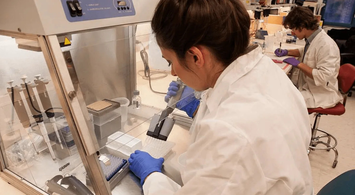 Xenetic Biosciences agrees to merge with Santersus to create a Nasdaq-listed NET therapies company.