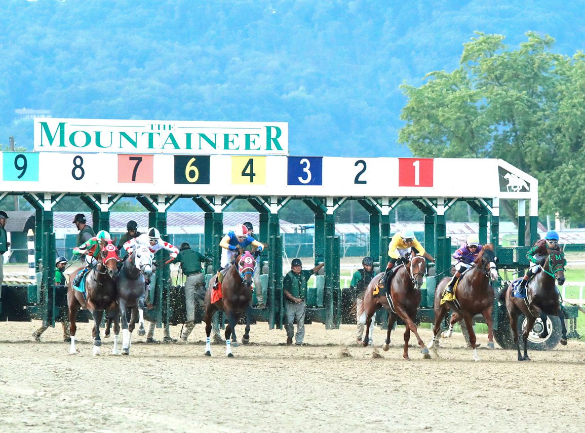 Mountaineer Park Race Declared No Contest Following Loose Horse Incident