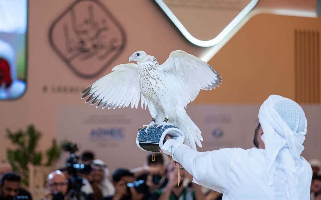 Rare White Falcon Sets Record With Million-Dirham Sale at Abu Dhabi Exhibition