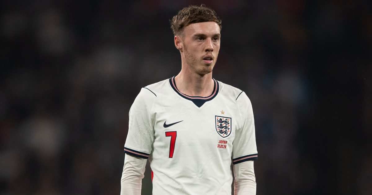 England Manager Thomas Tuchel Says Cole Palmer Missed Crucial International Opportunity