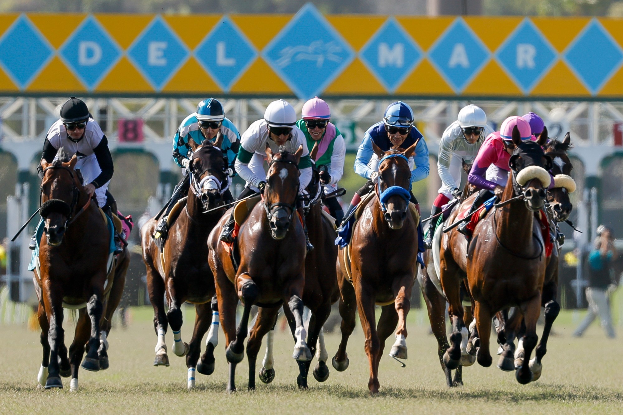 Expert Consensus Picks and Handicapper Predictions for Del Mar