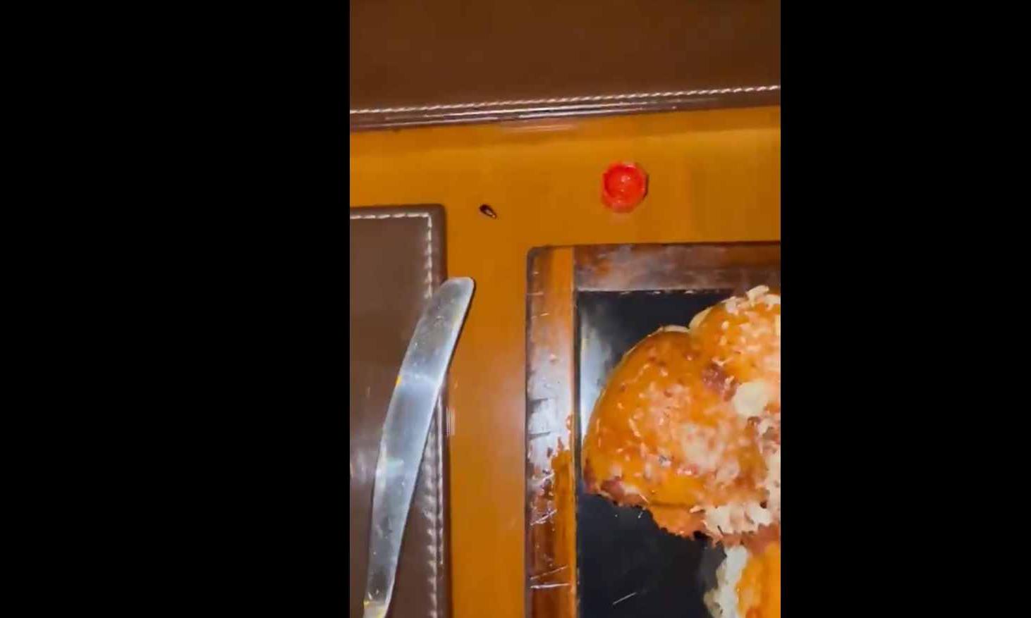 Prominent Cardiologist's Dinner Interrupted by Cockroach at Mumbai JW Marriott